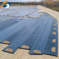 Geomembrane for Sale