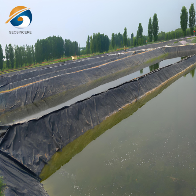 Geomembrane for Sale