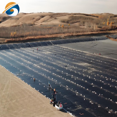 HDPE Liner
