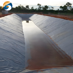 Liner for Pond