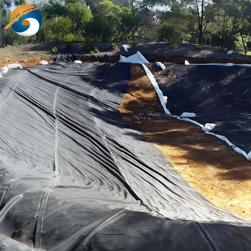 Liner for Pond
