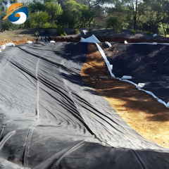 Liner for Pond