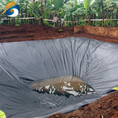 Liner for Pond