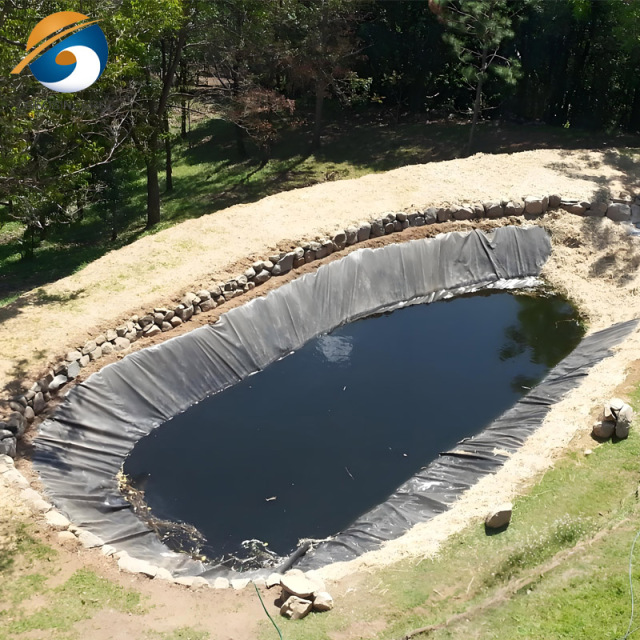 Liner for Pond