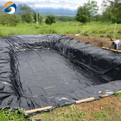 Geomembrane Liner Landfill