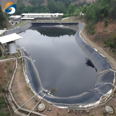 LLDPE Geomembrane Liner