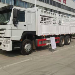 HOWO 6*4 CARGO TRUCK