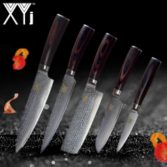 XYj Brand Damascus Kitchen Knives 5 Pcs Set High Quality 73 Layers VG10 Japanese Steel Blade Color Wood Handle Cooking Knives