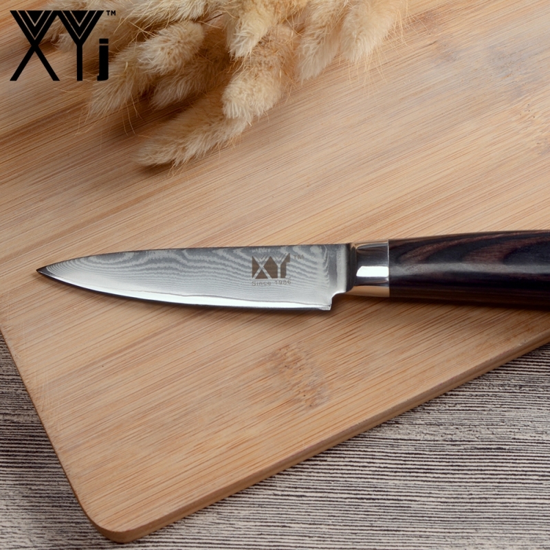 XYj Professional Damascus Knife Set 4pcs Santoku/Utility/Paring Knife 73 Layers Japanese VG10 Super Steel Core Wood Handle