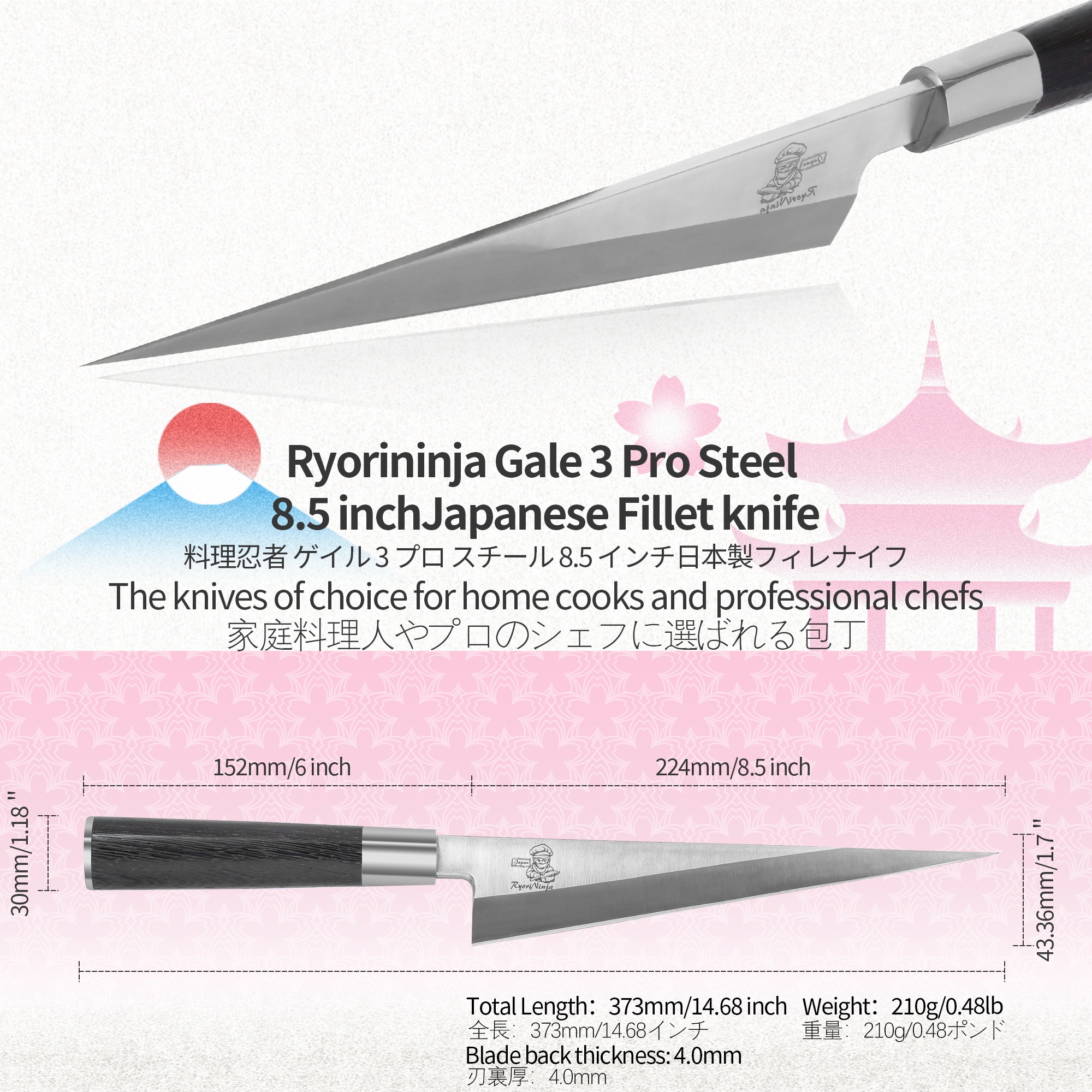 RyoriNinja Dexter Best Fillet Knife 8.5 inch Japanese Steel Fish Honesuki Knife, Professional stainless Steel Kitchen Chef Knife for cooking with Gift Box for Men and Women