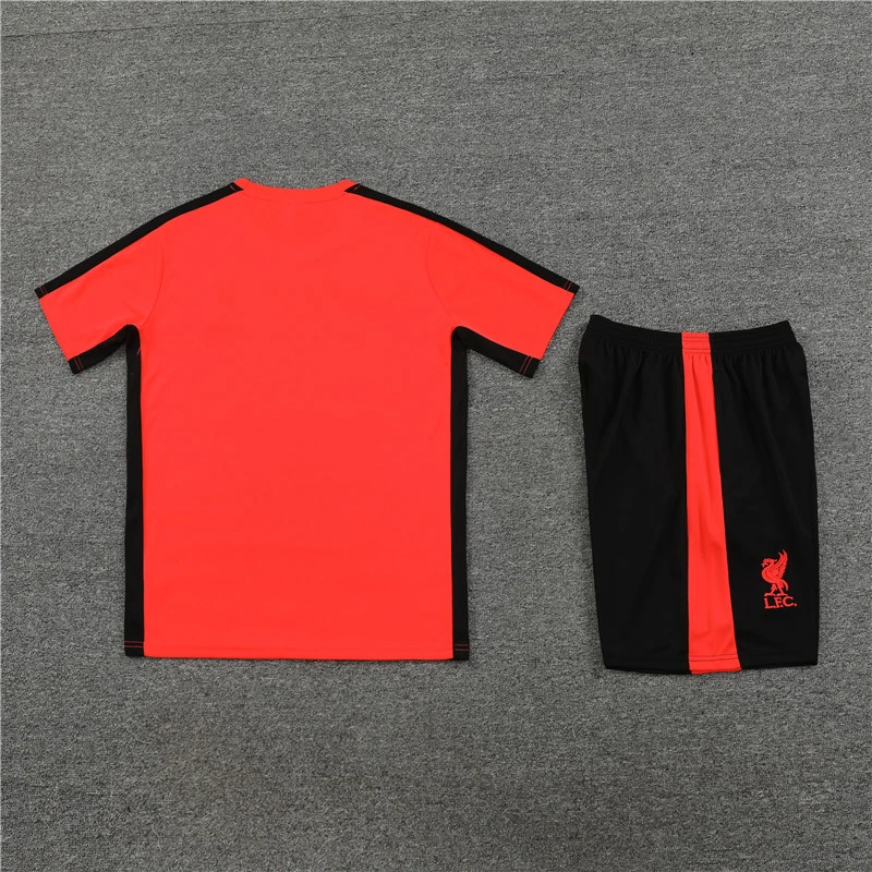 Short sleeve adult and kids jackets 23 24 Liverpool Men's Football training Jersey Kit Men's and Children's football tracksuit Jogging 2023 24
