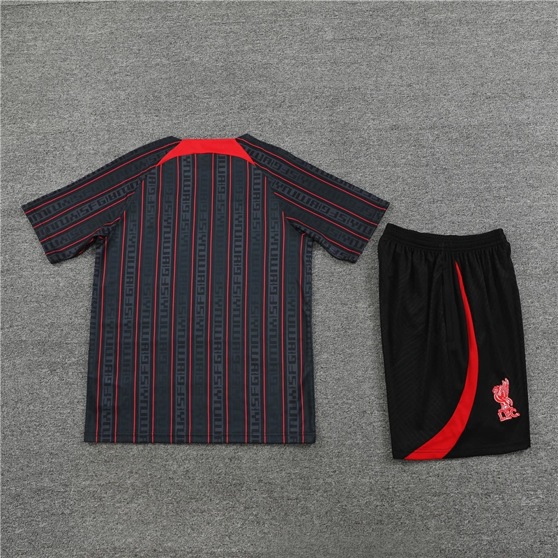 Short sleeve adult and kids jackets 23 24 Liverpool Men's Football training Jersey Kit Men's and Children's football tracksuit Jogging 2023 24
