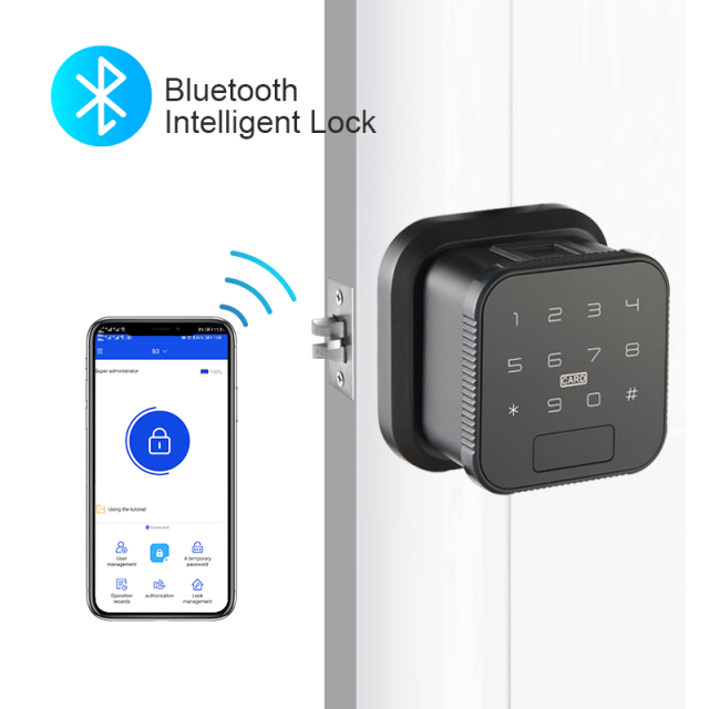 TM-B3 Smart TUYA Fingerprint Door Lock