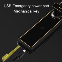 TM-T09 Smart Hotel Lock