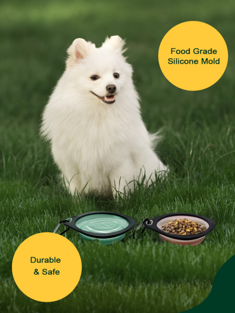 Collapsible Travel Bowl