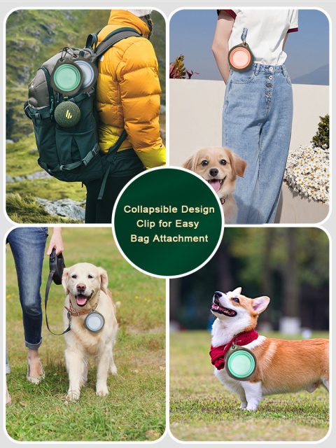 Collapsible Travel Bowl