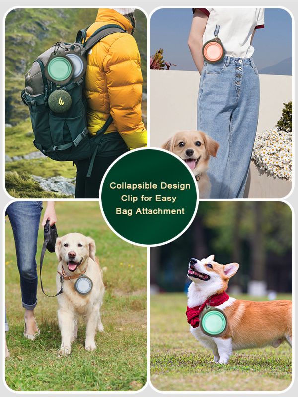 Collapsible Travel Bowl