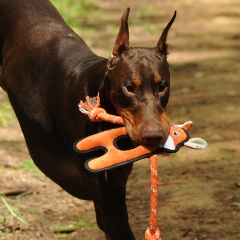 🦊 Freelax x V-PET REPT Fox Toy