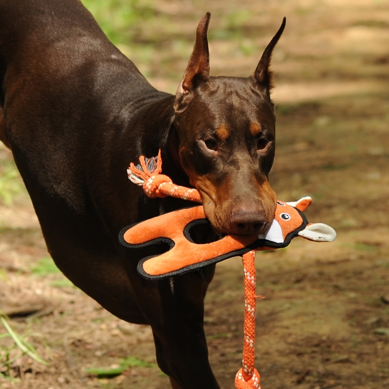 🦊 Freelax x V-PET REPT Fox Toy