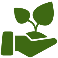 Tree Planting Initiatives