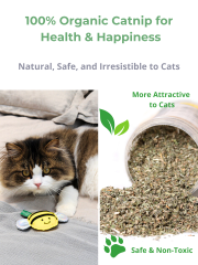 Freelax Cat Toy Mystery Gift Box🐱