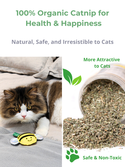 Freelax Cat Toy Mystery Gift Box🐱