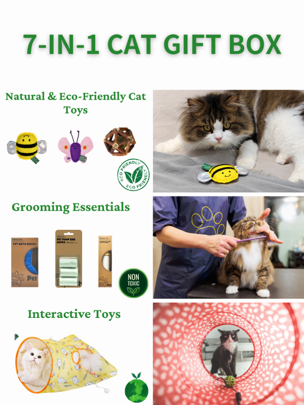 Freelax Cat Toy Mystery Gift Box🐱