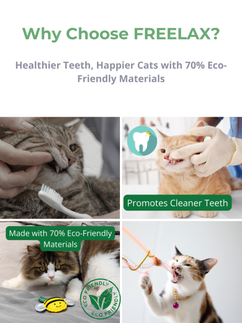 Freelax Cat Toy Mystery Gift Box🐱