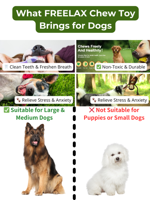 Freelax Dog Toy Gift Box | Eco-Friendly, Durable, and Safe for Your Furry Friend🐶