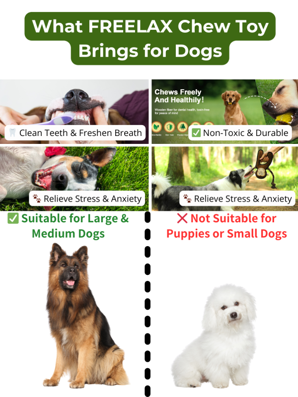 Freelax Dog Toy Gift Box | Eco-Friendly, Durable, and Safe for Your Furry Friend🐶