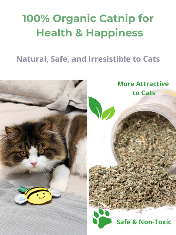 🦋 Freelax x V-PET REPT Butterfly Toy