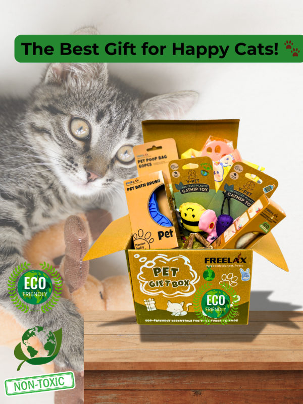 Freelax Cat Toy Mystery Gift Box🐱