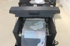 30cm Mini Desktop White Ink Printer Heat Transfer DTF Pet Film Printer Direct to Film With Powder and Dryer DTF Printer