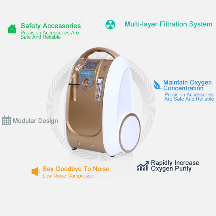 220v / 110v Compact 1l-5l Portable Medical Oxygen Concentrator