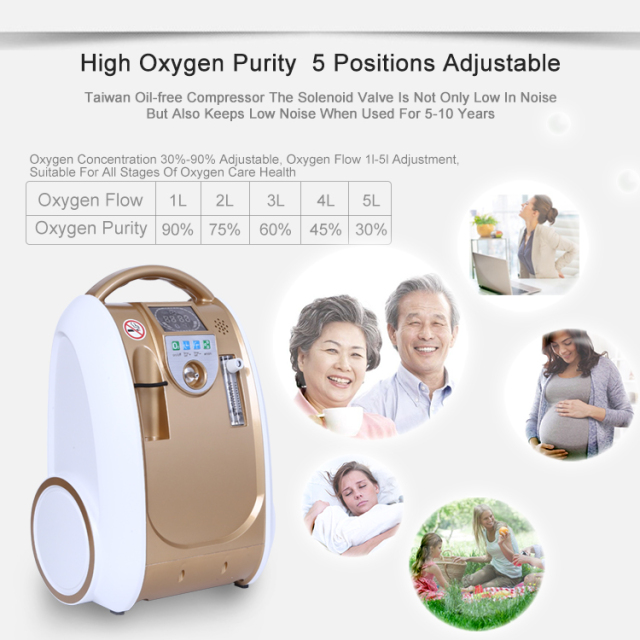 220v / 110v Compact 1l-5l Portable Medical Oxygen Concentrator