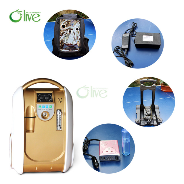 110V Small Portable Oxygen Concentrator with Anion Function and Backpack for Health Care