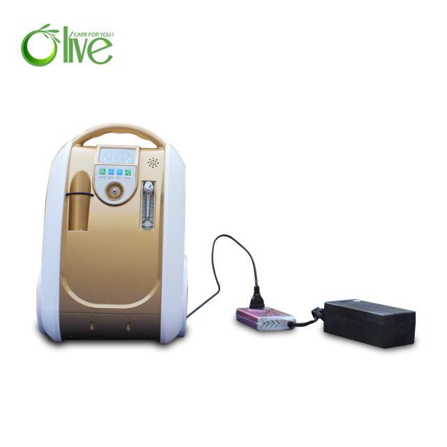 Battery Portable Small Oxygen Concentrator Latest High-Quality 1L Oxygen Generator