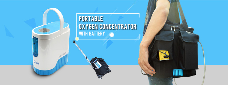 oxygen concentrator portable price
