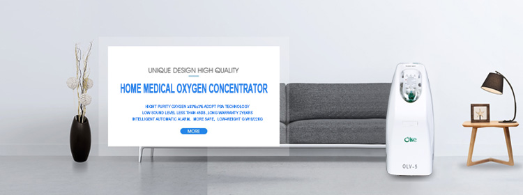home oxygen concentrator 