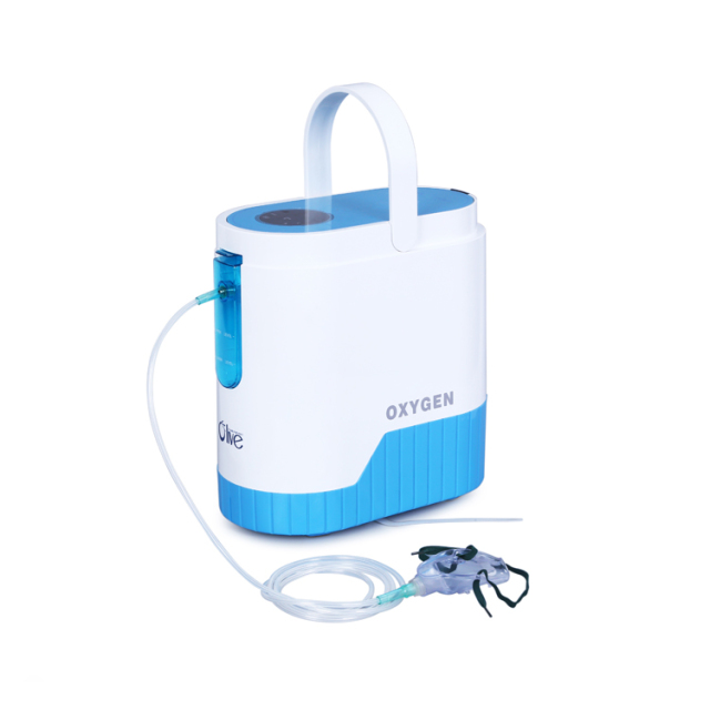 Portable PSA Oxygen Generator Rechargable Heat Balance System Ensure Longer Life Span