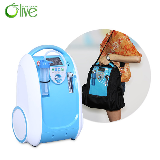 Wholesale 5 Liter Portable Oxygen Concentrator with Battery and Car Use for Home