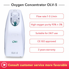 300W Lightweight Psa Medical Oxygen Concentrator With Atomizer For Frail Patients