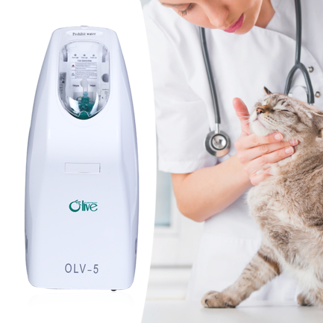 95% Purity Veterinary Pet Dog Cat Horse Oxygen Concentrator for Clinic and Farm