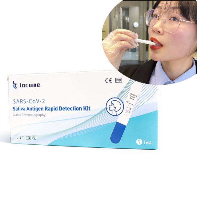 Wholesale 1 Test 15 Mins Lollipop SARS-CoV-2 Saliva Antigen Rapid Detection Kit At-Home COVID-19 Test Kit