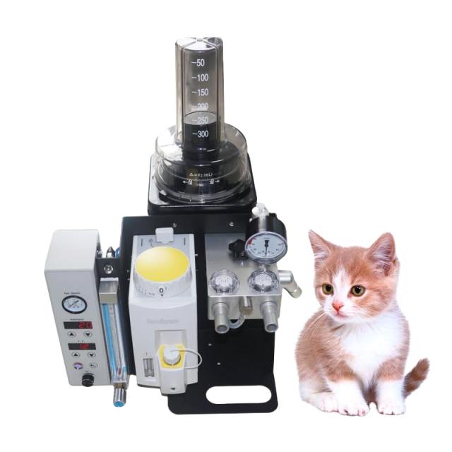 Vet Gas Anesthesia Machine With Ventilator Animal Anesthesia Medical Equipment