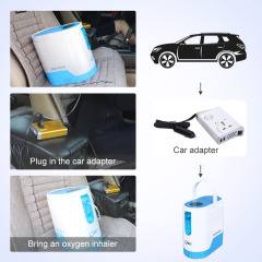 Mini Portable Electric Oxygen Concentrator Flow Rate 1 - 5L / Min For Health Care