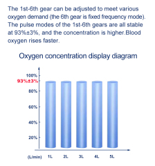 2024 5L Continuous Flow Portable Battery Pulse Oxygen Concentrator With Bag Use In Car, Outdoor