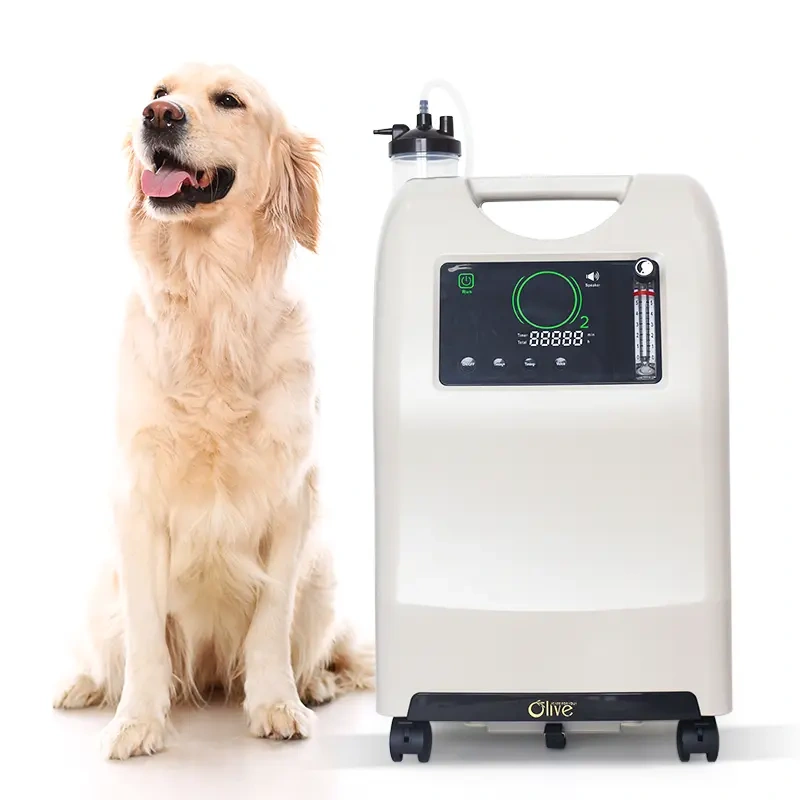 Veterinarian Uses 10L Oxygen Concentrator Compatible With Anesthesia Machines
