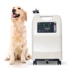 Veterinarian Uses 10L Oxygen Concentrator Compatible With Anesthesia Machines