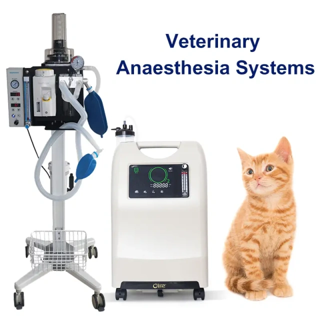 Veterinary Anaesthesia Systems 10L Oxygen Concentrator With Anesthesia Machines